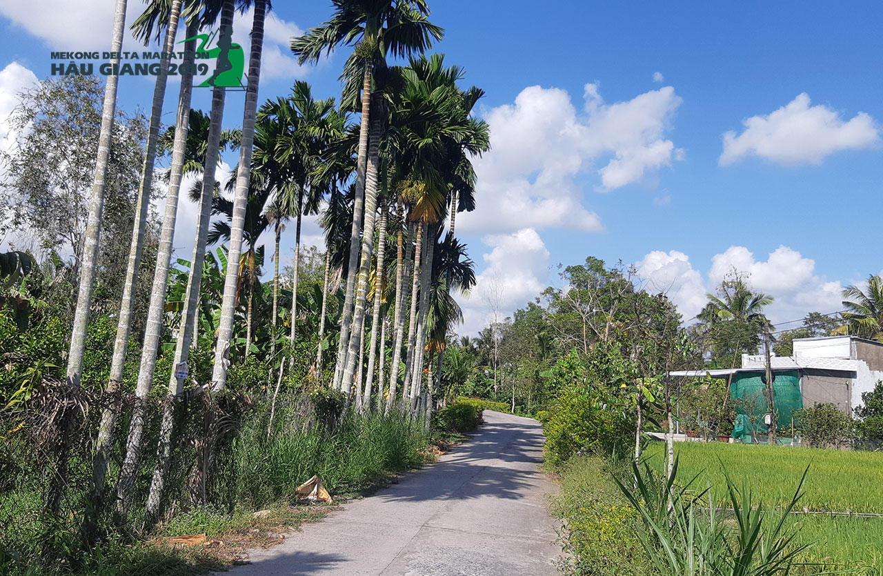 Ngỡ ngàng trước vẻ đẹp hoang sơ của đường chạy Mekong Delta Marathon 2019